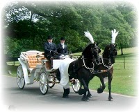 Prestige Wedding Carriages 282239 Image 5